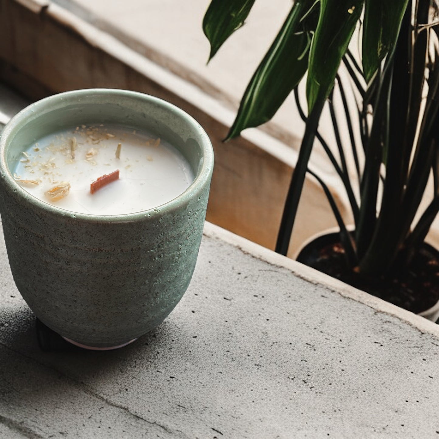 Bougie Olive - Bois de Santal