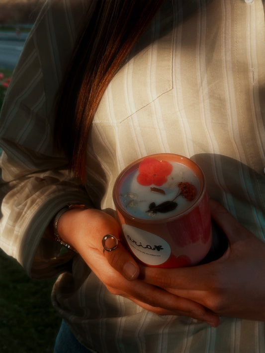 Bougie Aria 🌺 / Sakura