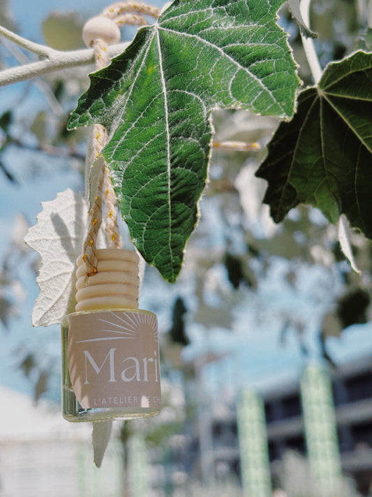 Diffuseurs Automobiles