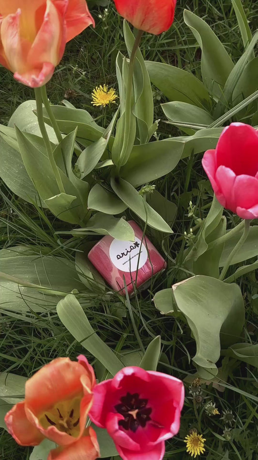 Bougie Aria 🌺 / Sakura